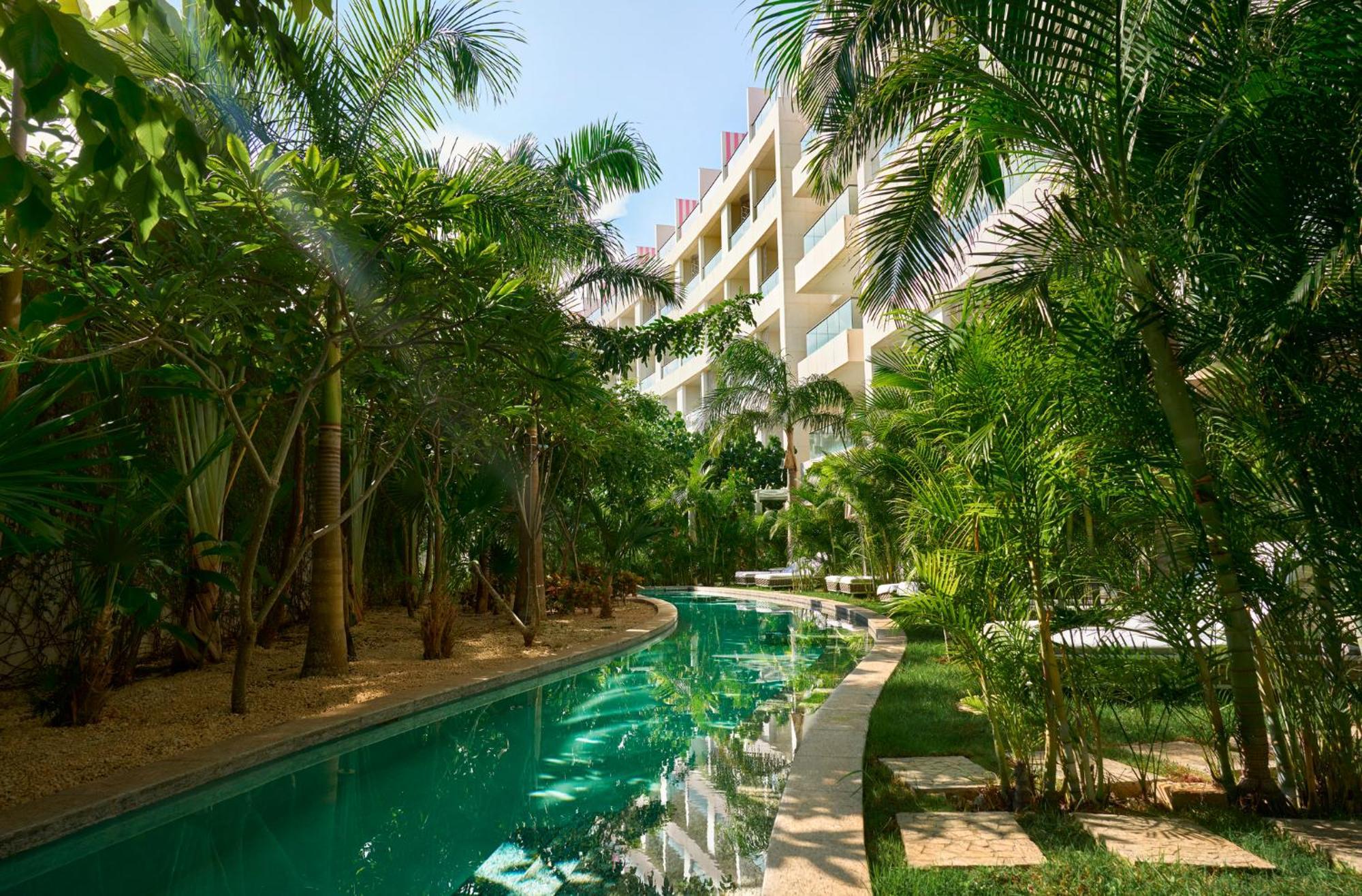 Captivate Swim-Out King Room