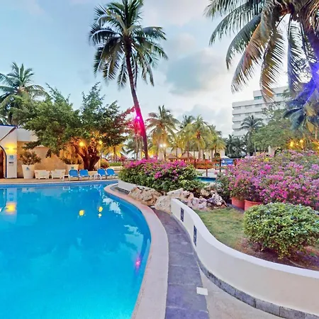 Oasis Palm-3