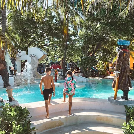 Oasis Palm-2